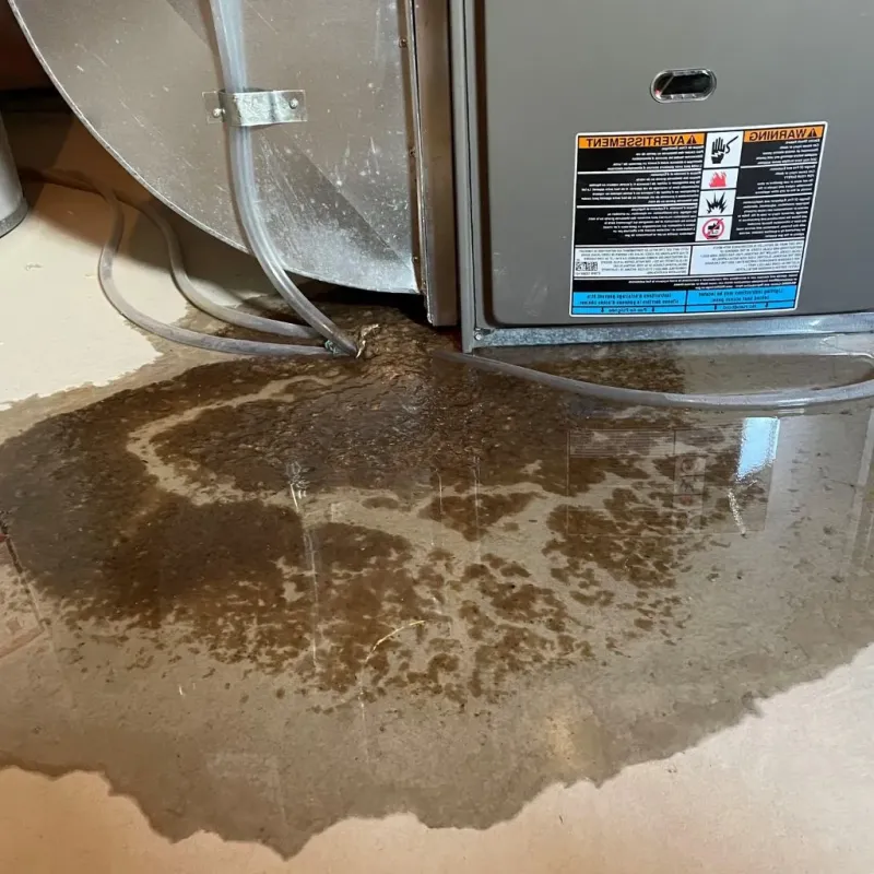 Pipe Burst and Leak Restoration in Birmingham, AL